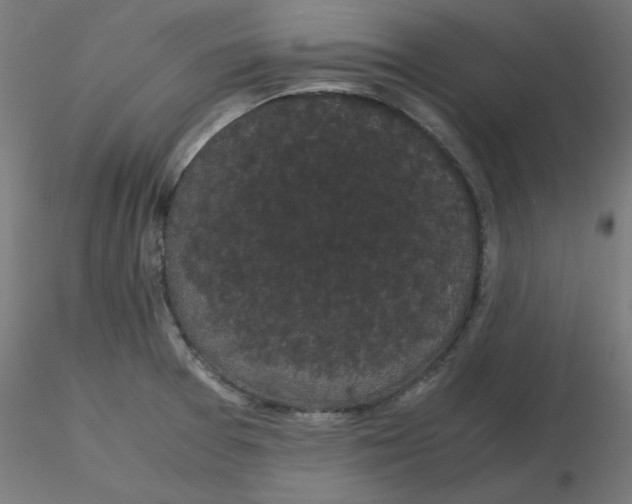 X0000116121377200912211645