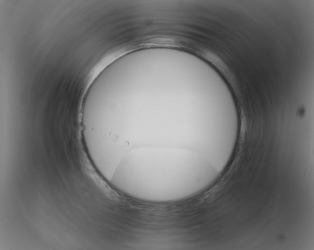 X0000116121378200912211645
