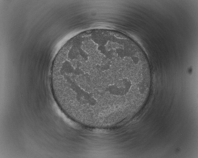 X0000116121379200912211645