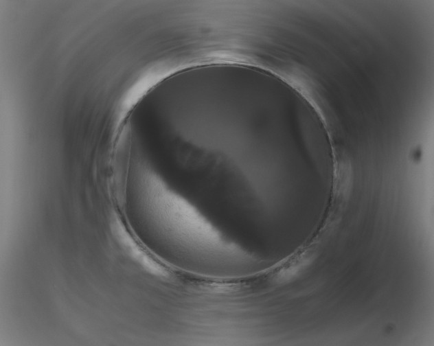 X0000116121381200912211645