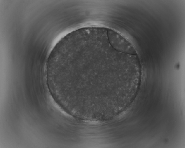 X0000116121382200912211645