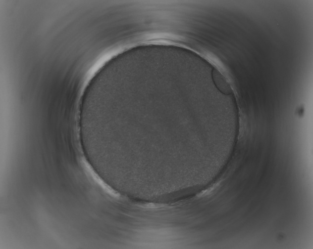X0000116121384200912211645