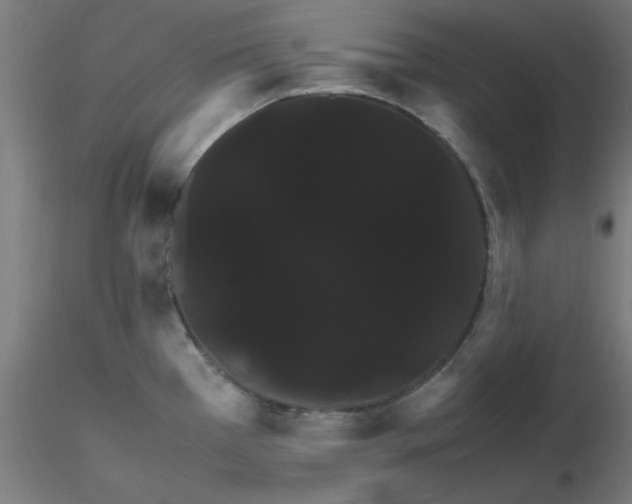 X0000116121385200912211645