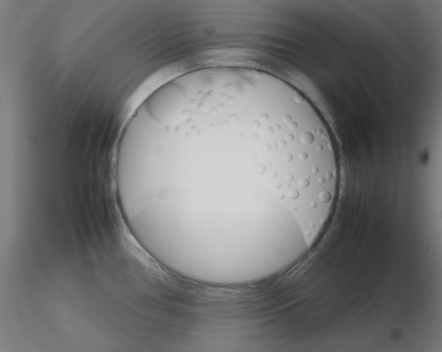 X0000116121386200912211645