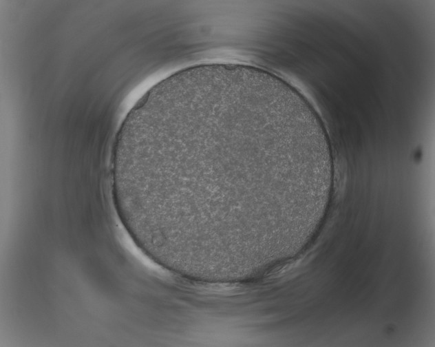 X0000116121387200912211645