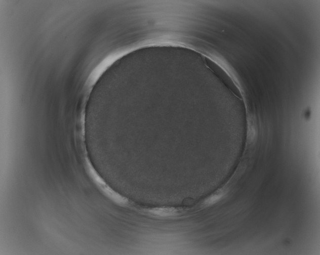 X0000116121388200912211645