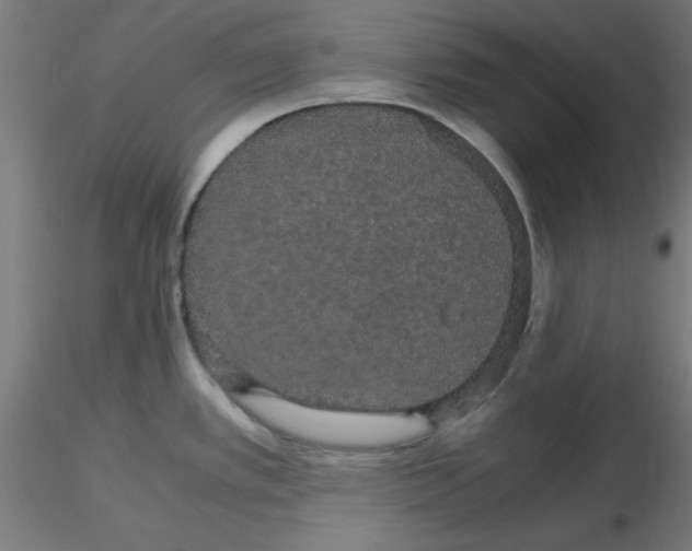 X0000116121389200912211645