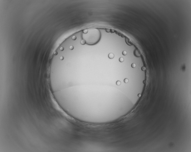 X0000116121390200912211645