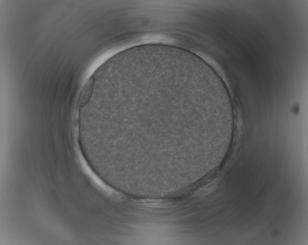 X0000116121391200912211645