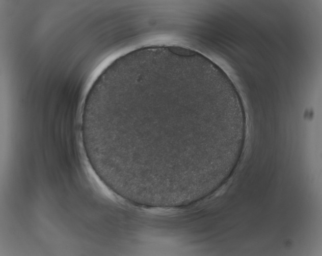 X0000116121392200912211645