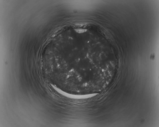 X0000116121394200912211644