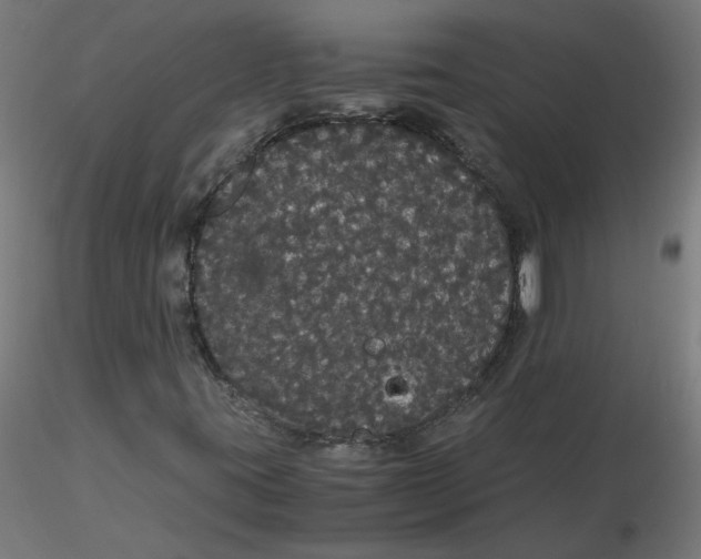 X0000116121395200912211644