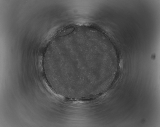 X0000116121396200912211644