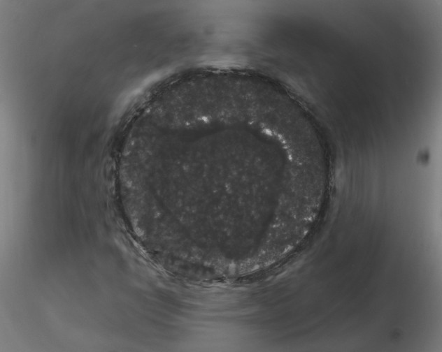 X0000116121398200912211644