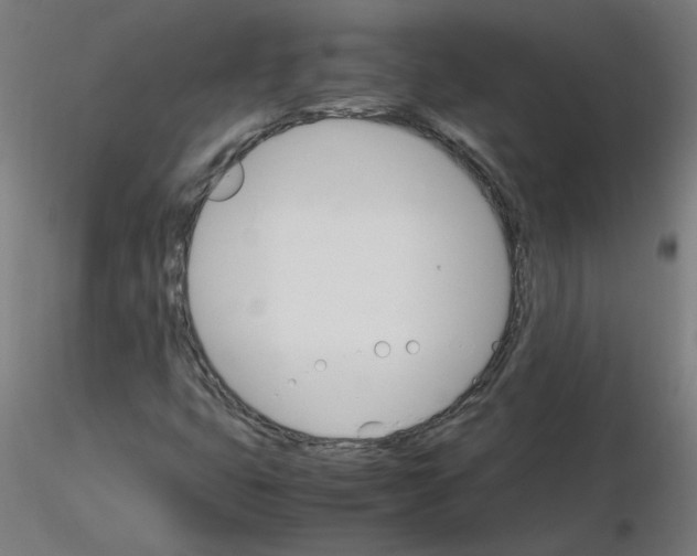 X0000116121399200912211644