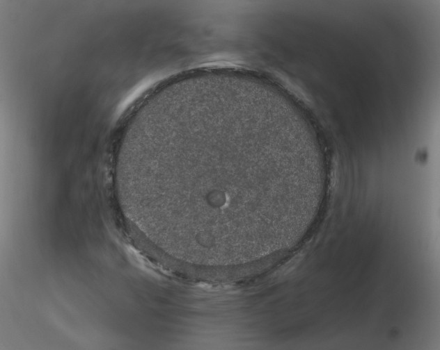 X0000116121400200912211644