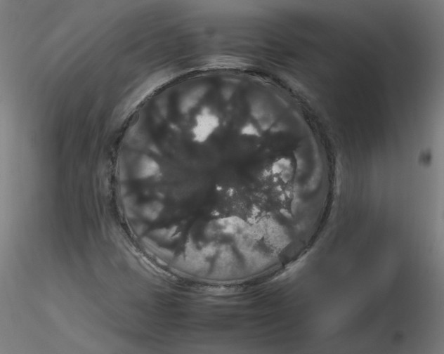 X0000116121401200912211644