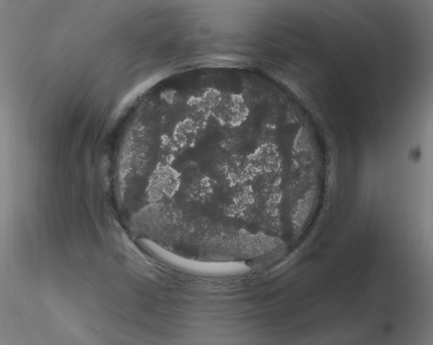 X0000116121402200912211644