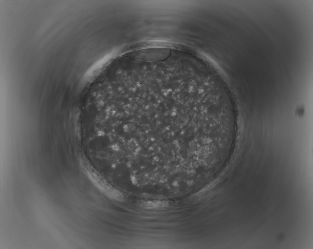 X0000116121403200912211644