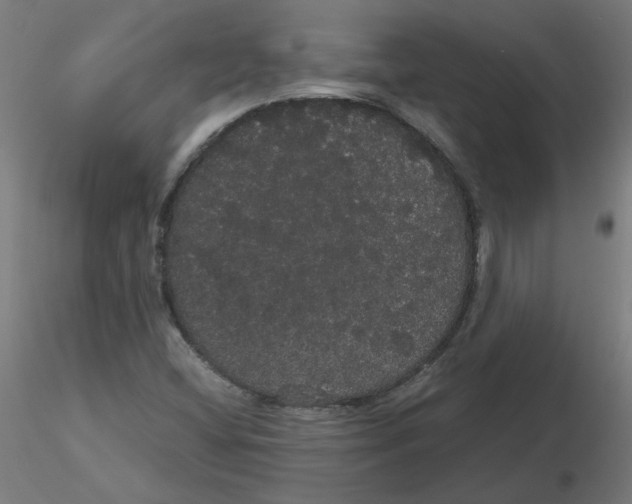 X0000116121404200912211644
