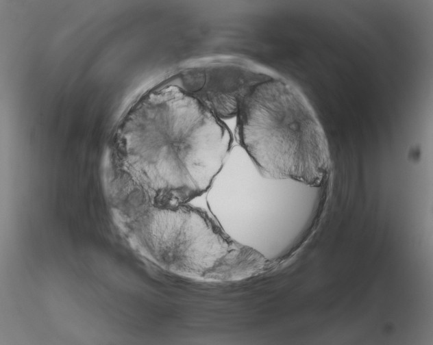 X0000116121405200912211644