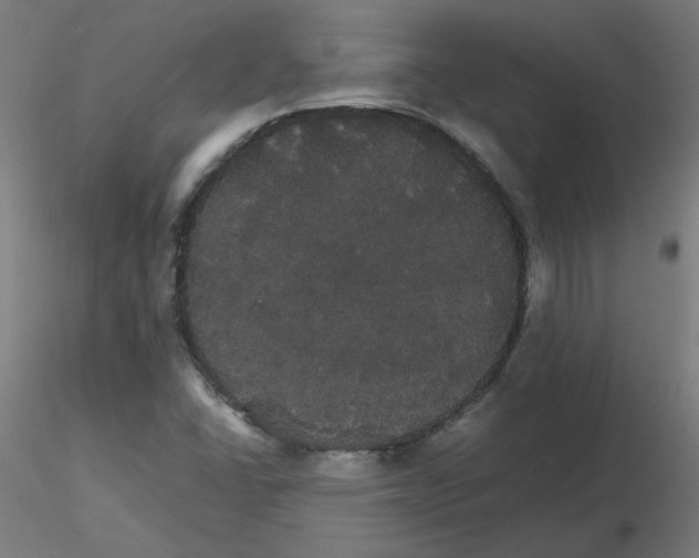 X0000116121406200912211644