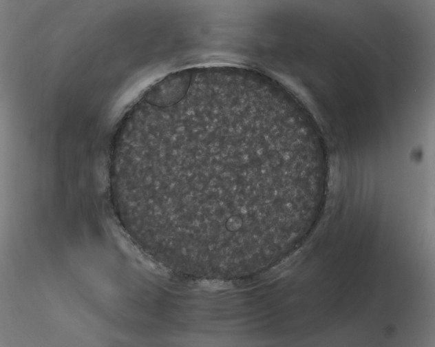 X0000116121407200912211644