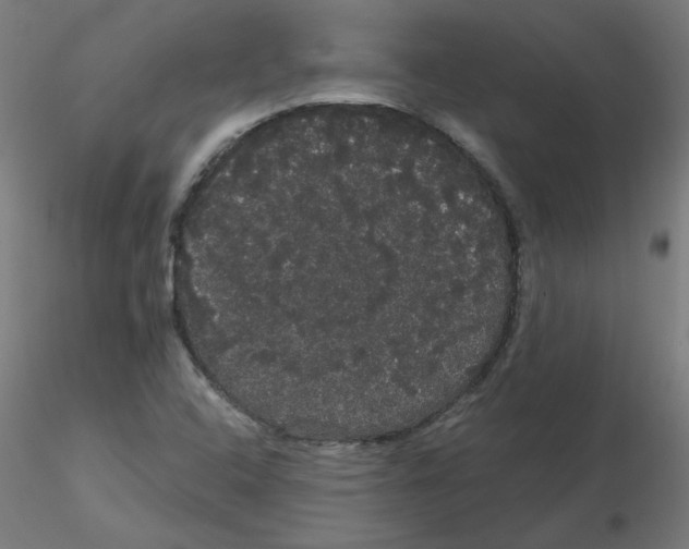 X0000116121408200912211644