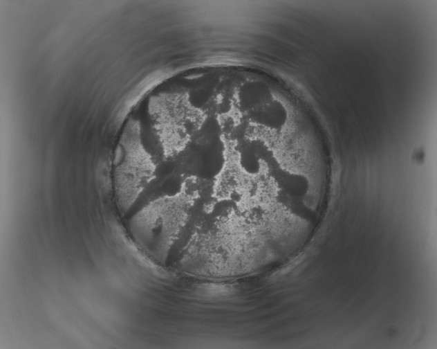X0000116121409200912211644