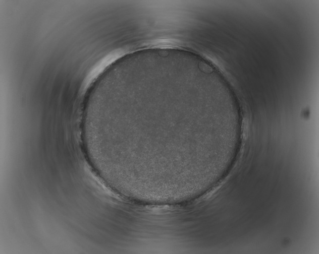 X0000116121410200912211644