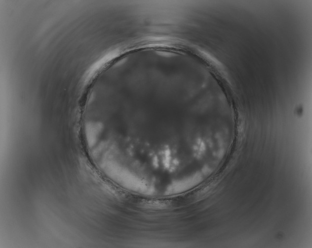 X0000116121411200912211644