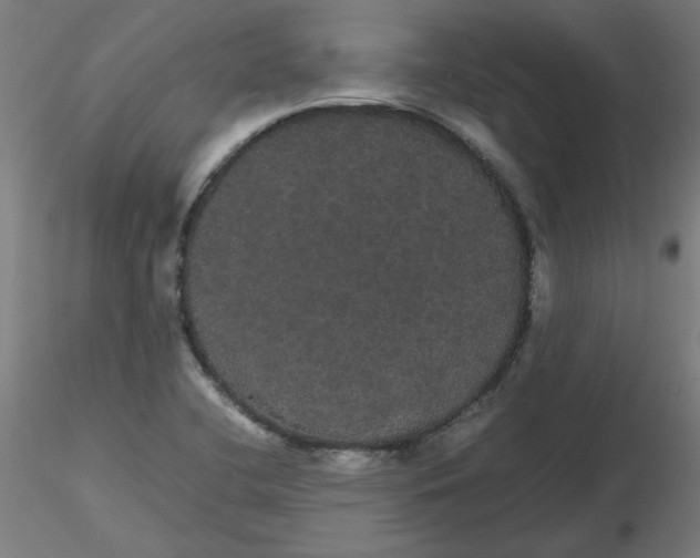 X0000116121412200912211644