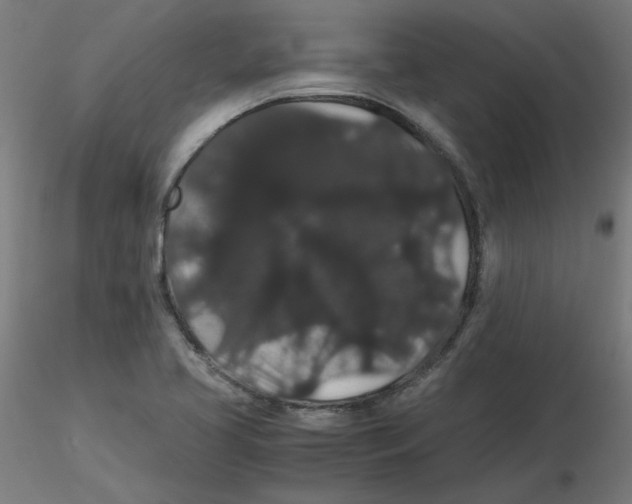 X0000116121413200912211644