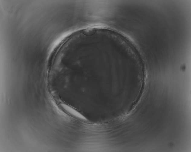 X0000116121414200912211644