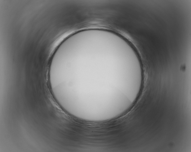 X0000116121415200912211644