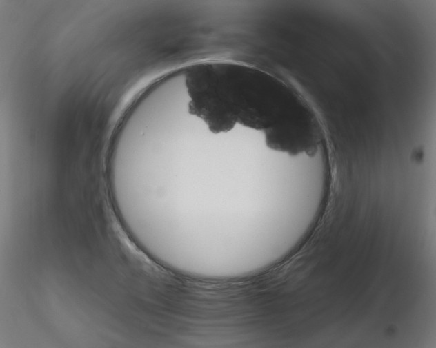 X0000116121416200912211644