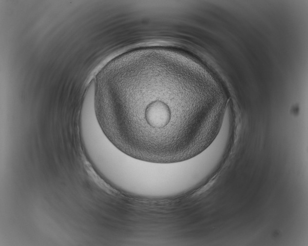 X0000116121417200912211644