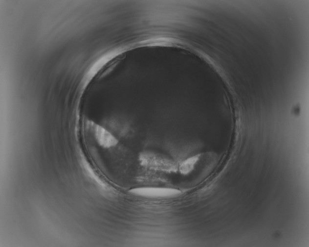 X0000116121418200912211644