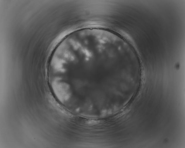 X0000116121419200912211644