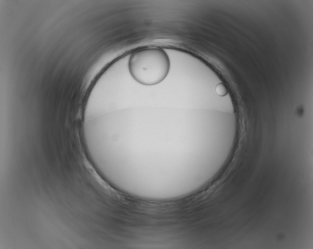 X0000116121420200912211644