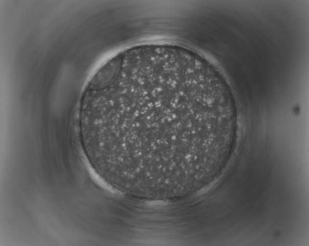 X0000116121421200912211644