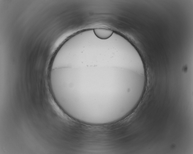 X0000116121422200912211644
