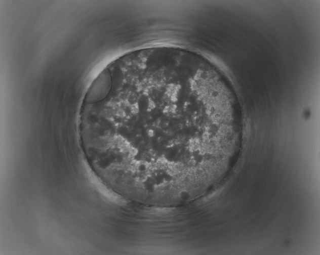 X0000116121423200912211644