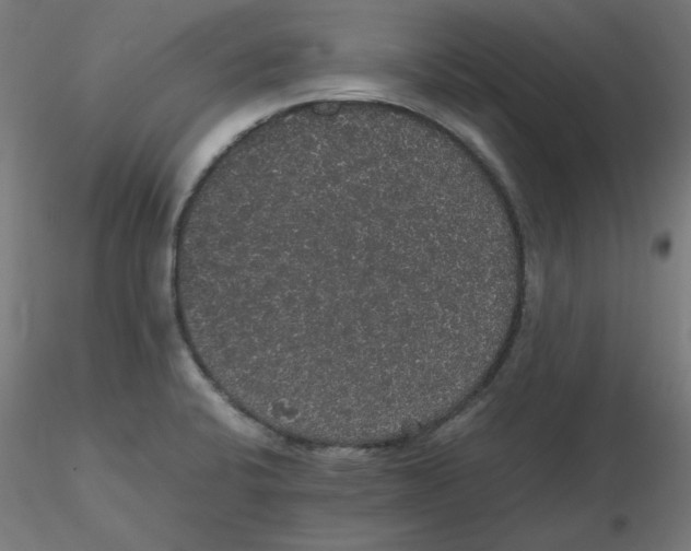 X0000116121424200912211644
