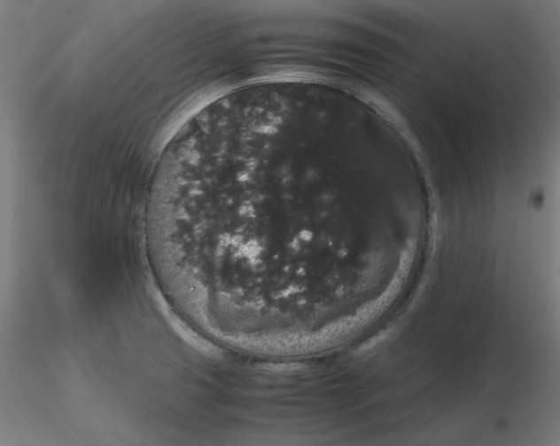 X0000116121425200912211644