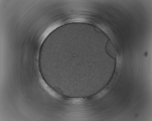 X0000116121426200912211644