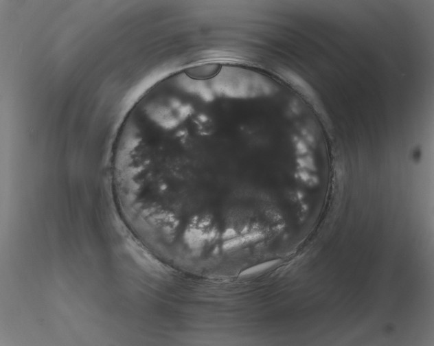 X0000116121427200912211644