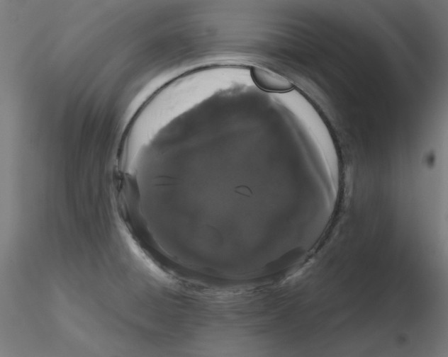 X0000116121428200912211644