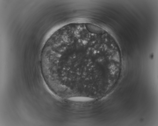 X0000116121429200912211644