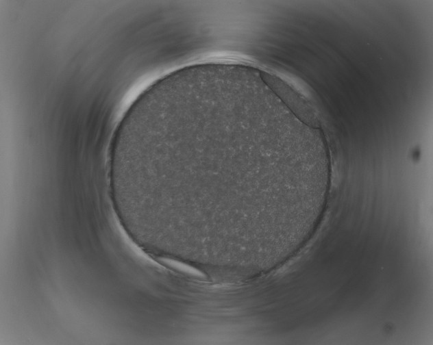 X0000116121430200912211644